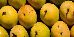 Fresh Mango
