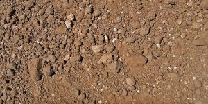 Gravel Soil
