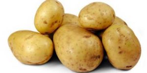 Fresh Potato