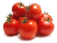 Fresh Red Tomato