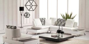 Designer Sofa Set