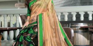 Ladies Saree