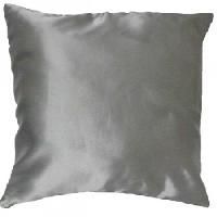 Silk Cushion