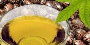Castor Oil