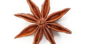 Star Anise Seeds