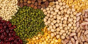 Indian Pulses