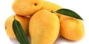 Fresh Mango
