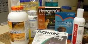 Veterinary Products