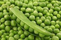 Peas Seeds