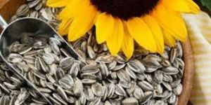 Sunflower Seeds