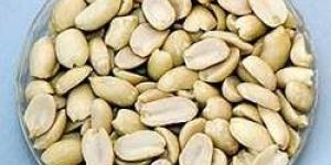 Blanched Peanut Split