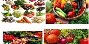 Fresh Vegetables