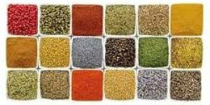 Indian Spices