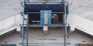 Construction Material Loading Lift