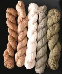Organic Yarn