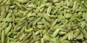 Fennel Seeds