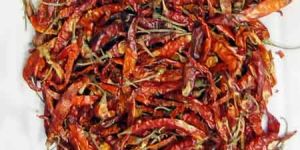 Red Chillies