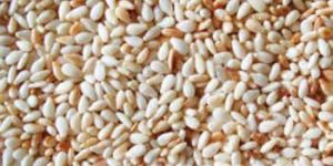 Sesame Oil Seeds