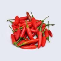 Birds Eye Red Chilli
