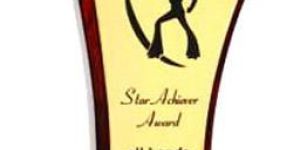 Star on a Sail Wooden Trophy