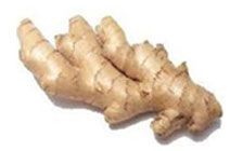 GINGER EXTRACT