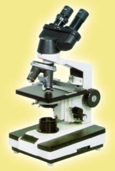 Pathological Microscope