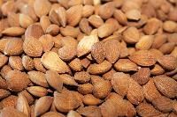 Bitter Apricot Kernels