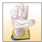 Pure Chrome Canvas Hand Glo