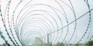 Razor Blade Wire Rbw - 01