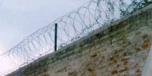 Razor Blade Wire Rbw - 02