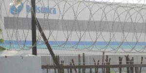 Razor Blade Wire-RBW - 06