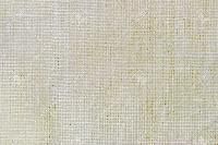 Organic Cotton Fabric