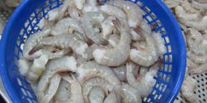 FROZEN VANNAMEI  SHRIMPS