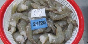 VANNAMEI SHRIMPS HLSO