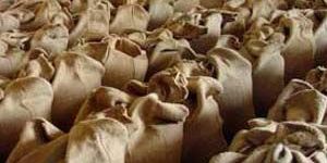 Poly Propylene Sewing Threads