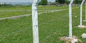 Farmhouse Fence