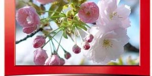 LCD Television (CD-17Y2L)