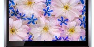 LCD Television (CJ-24V8L)