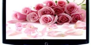 LCD Television (CS-1910L)