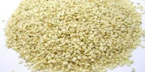 Sesame Seeds