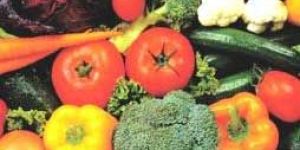 Fresh Vegetables