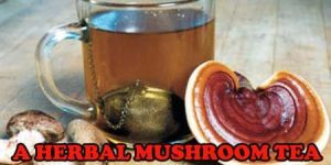 Mushroom Herbal Tea
