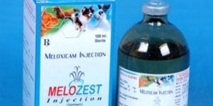 Meloxicam Injection