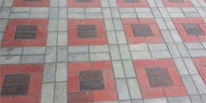 Interlocking Paver Block