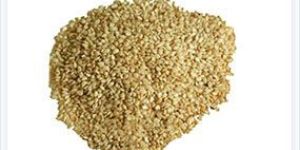 Sesame Seeds