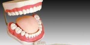 KK-068: The health care of mouth cavity (with tooth brush)