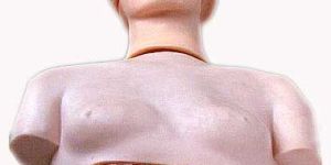 KK-069: Basic CPR manikin (half body)
