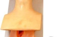 KK -075 Human trachea intubation model