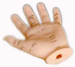 KK-099: Hand acupuncture model 13cm