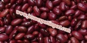 Indian Pulses